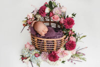 Baby posed for Newborn Portraits in Charleston, SC.