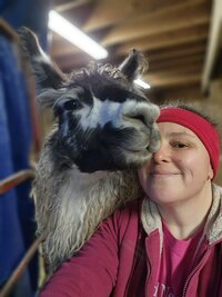 char-arendas-life-with-llamas-2_53458773877_o