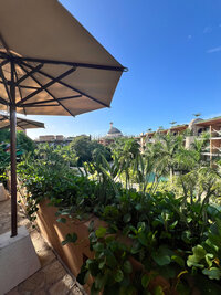 Lush interior view of Hotel Xcaret Arte in Mexico, showing the hotel grounds at this adults only all inclusive resort