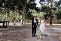 adelaide-wedding-photographerHazelmere-homestead-gallery-49