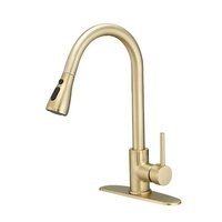 gold kitchen faucet