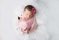 newborn baby girl, wrapped in pink wrap holding flamingo stuffed animal during newborn photoshoot in mount juliet tennessee photography studio