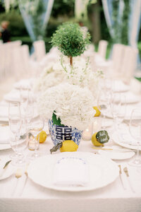 Chicago Fine Art Wedding Photographer-18