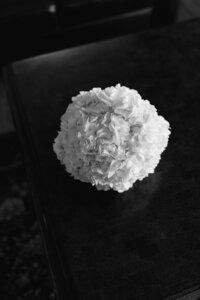 Isabel & Josh-509213