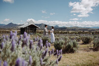 Giuliano & Charlotte ~ Insta rezHarry & Beth ~ motion reel-8015