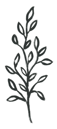 shape_34