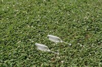 DSC00117