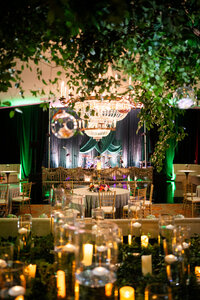 fort worth party photographer debutante birthday social lightly photo 26-00012