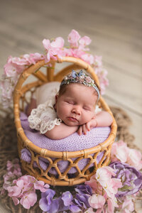 Newborn 2023-7682