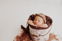 Sacramento, Elk Grove, Florin, Vineyard, Roseville, Davis, Rancho Cordova, East Sacramento, Cameron Park, Folsom, Antelope Newborn Photographer, Baby Photographer, A Little Goose