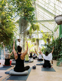 yoga garden