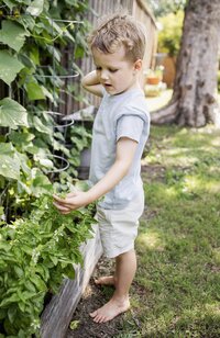 A young boy looks over the backyard produce at in home session in Dallas texas
