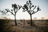 YG After Dark_Joshua Tree Couples