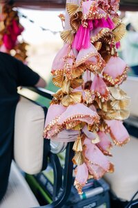 Luke and Ashley Virginia Indian Wedding Photographers