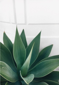 Screen Shot 2019-02-21 at 7.07.19 PM