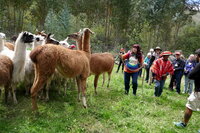 perugaladay4_076v_resize_33972596868_o