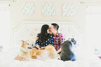sacramento pet photographer, pet photographer sacramento, pet photos, pet photography, san francisco pet photos, pet photo sessions, pet photographer, pet photos sacramento, pet photos san francisco, family pet photos, family pet photo sessions