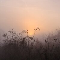 ୨୧ ₊fog in the village ⊹ɞ