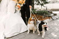 Minneapolis Wedding Planners and Coordinators Simply Elegant Group 00031