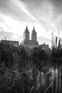 central-park-engagement-photos-deborah-zoe-photography_0003
