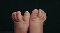 Image of Family at Studio Newborn Photography Session by Hobart Newborn Photographer Lauren Vanier
