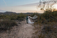 Bride and groom walking together down a desert path at dusk, her veil trailing behind