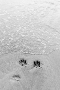 MHilarius | Rio - Hondenshoot Egmond-75