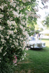 hochzeit-sonnenhof-heiraten-27
