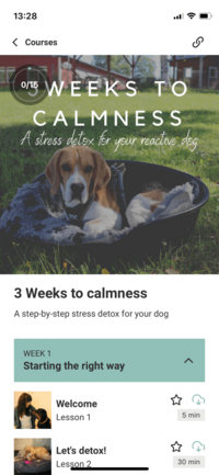 3 weeks to calmness online course for stressed and reactive dogs