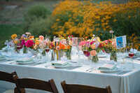 The-Stavrand-Wedding-Russian-River-122