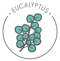 Icon-Zen-Eucalyptus