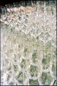 35mm film photo of champagne wine glasses
