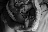 untitled-202