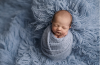 Fog Morning Fur FLlkati Newborn Photography