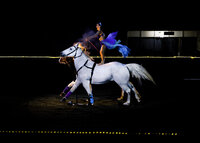 Equine-Affair-Fantasia-Springfield-MA-1