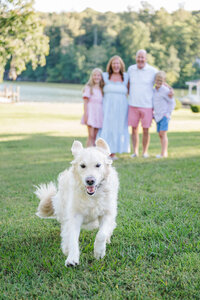 Winston Salem Wedding Photographer-Adrianne Therrien Photography-70