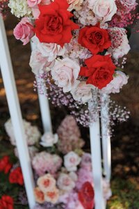 tash-cameron-mclaren-vale-wedding-45