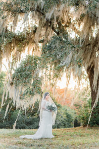 bridals-2