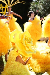 IMG_3250