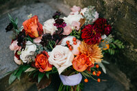 viola_0283