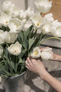 Lifestyle branding images showcasing Cherry Hill Flower Farm. A mix of portraits and candids to be used across social media and web presence. New Hampshire Branding Photographer for small businesses and creatives. Deborah Zoe Photography.