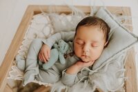 Sacramento, Elk Grove, Florin, Vineyard, Roseville, Davis, Rancho Cordova, East Sacramento, Cameron Park, Folsom, Antelope Newborn Photographer, Baby Photographer, A Little Goose