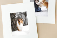 post-falls-idaho-pet-photography-folio-box