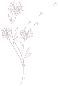 line drawing of flowers