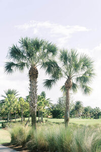 Naples Florida Wedding Photographer -3