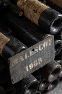 Malescot-St-Exupery-17