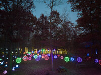 veritas illuminated nov2023 JackLooney-0043
