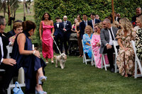 adelaide-wedding-photographer-golding-wines-gallery-156