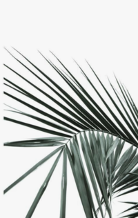 Screen Shot 2019-02-21 at 7.07.41 PM