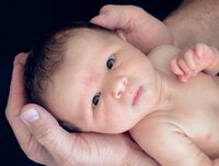 St. Augustine newborn capturing a close-up of a newborn nestled in his father’s hands, the size contrast emphasizing protection and tenderness. (Photographed by Nature's Child Photography)